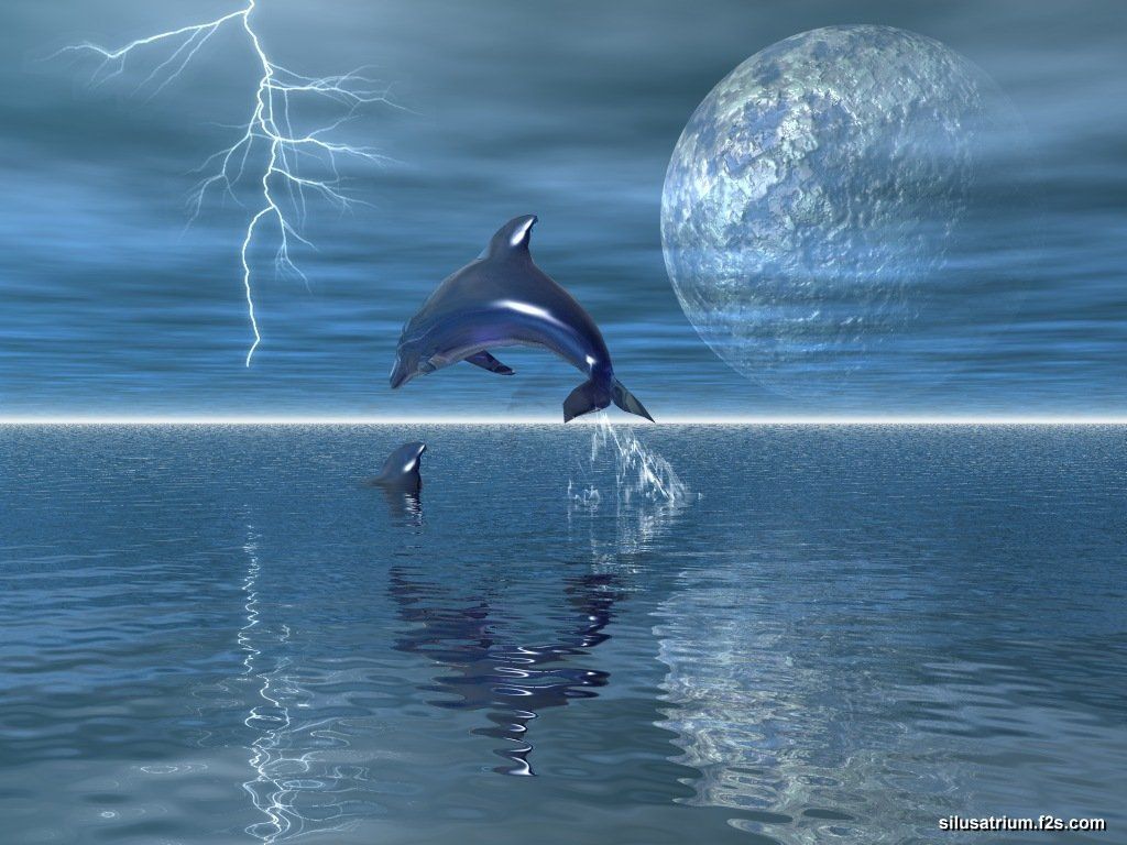 rub dauphins scintillant ou pas